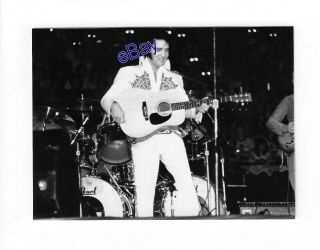 Elvis Presley Kodak Concert Photo - Showtime 1977 - Jim Curtin Rare