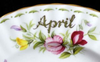 Royal Albert FLOWER OF THE MONTH (Montrose) Salad Plate April 2