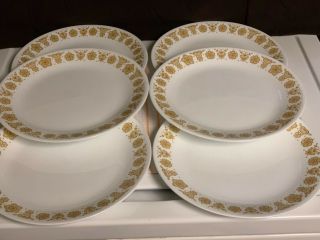 Set Of 6 Vtg Corelle Corning Pyrex Butterfly Gold Dinner Plates 10 1/4 "