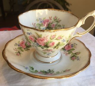 Vintage Tea Cup & Saucer Royal Albert Moss Rose (rare Find) 1970s
