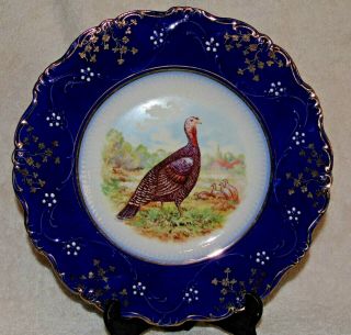 W P La Belle China Turkey Plate Flow Blue Antique Dinner Plate 10 " 1