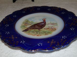 W P La Belle China Turkey Plate Flow Blue Antique Dinner Plate 10 