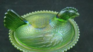 Indiana 7 Inch Lime/Emerald Green Carnival Hen On Nest Glass Covered Candy Dish 3