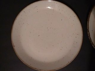 2 Vintage LifeStyle J & G Meakin Dinner Plates,  Brown Speckles & Rims,  9 7/8 