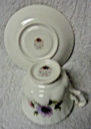 Royal Albert Flower Of The Month March 1970 Cup And Saucer 3