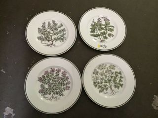 Set Of 4 Tiffany & Co Herbs Salad ? Plates By Johnson Brothers England