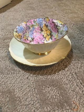 Shelley Rock Garden Chintz China Footed Teacup And Saucer Pastel Yellow 13415/s1