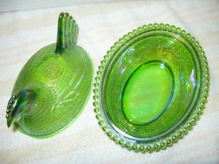 Indiana Carnival Iridescent lime green Glass Chicken Hen on nest 3