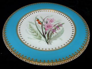 Antique Royal Worcester Raised Gold Hand Painted Turquoise Band Cabinet Plate