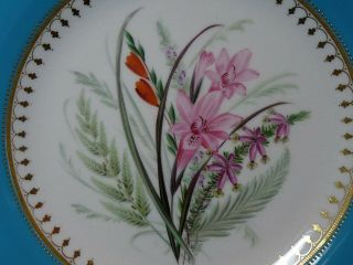 Antique Royal Worcester RAISED GOLD Hand Painted TURQUOISE Band Cabinet Plate 4
