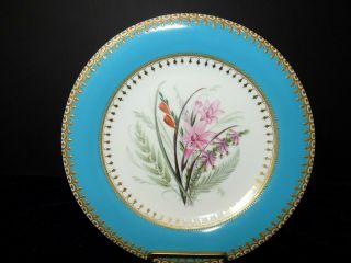 Antique Royal Worcester RAISED GOLD Hand Painted TURQUOISE Band Cabinet Plate 5