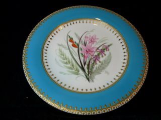 Antique Royal Worcester RAISED GOLD Hand Painted TURQUOISE Band Cabinet Plate 6