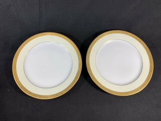 2 Thomas Bavaria Marquise Dinner Plates White W/ Ivory Gold Encrusted Band Trim