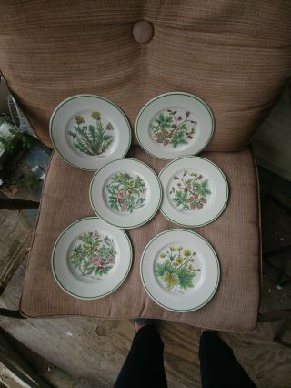 Set Of 6 Tiffany & Co Herbs Salad ? Plates By Johnson Brothers England
