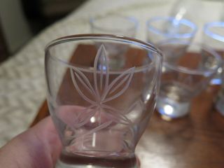Vtg Winfield Passion Flower Etched Glasses Liqueur / Aperitif / Liquor Set Of 6