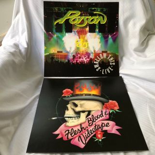 Poison Swollow This Live 2 - Sided 12 X 12 Promo Lp Flat / Poster - Rare