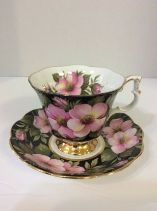 Royal Albert Floral Series Alberta Rose Wild Rose Bone China Tea Cup & Saucer