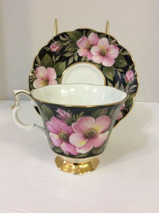 Royal Albert Floral Series Alberta Rose Wild Rose Bone China Tea Cup & Saucer 4