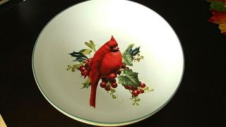 Nwot Lenox Winter Greetings Everyday Cardinal 9 " Pasta Bowl