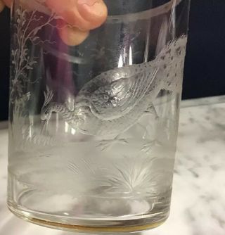 Antique Vintage Finely Detailed Wheeled Engraved Etched Peacock Tumbler Glass