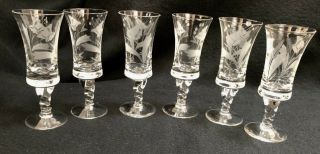 Pretty Floral Lily Etched Cordial Glasses Set Of 6