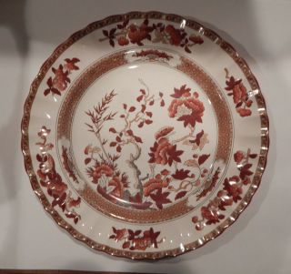 Spode Indian Tree Mark Dinner Plate 10 1/4 " Made In England