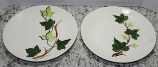 Set Of 2 Vintage Blue Ridge Southern Pottery 9.  5 " Dinner Plates Green Ivy