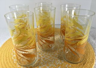 6 Vintage Libby Glass 16oz Golden Wheat Tumblers 6½”t