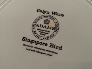 Adams Calyx Ware SINGAPORE BIRD (2) Dinner Plates Black Back Stamp 10 - 1/4 
