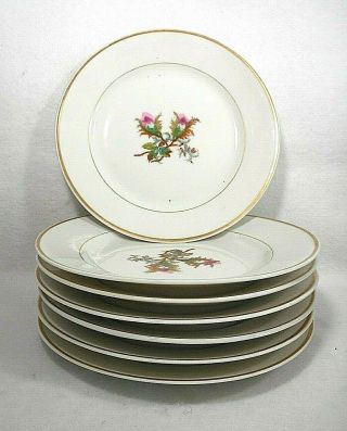 Haviland Limoges Set Of 7 Dessert Plates Moss Rose Pattern,  Ca.  1885
