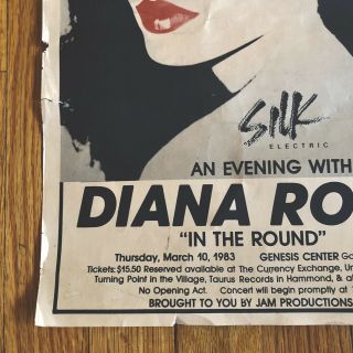 Promo Poster Warhol/ Diana Ross 