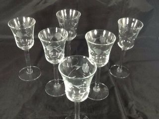 Set of 6 Vintage Etched Clear Small Glasses Goblets Cordials 5 3/4 