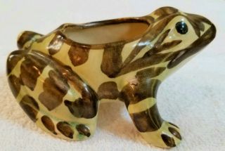 Vintage Mccoy Pottery Brushed Frog Planter 6 1/2 " Long