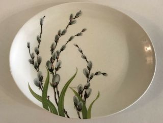 Ws George Pussy Willow Oval Serving Platter Plate C0791 Mid Century Vintage