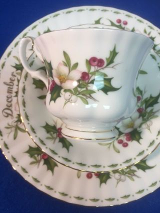 Royal Albert Flower of the Month December Bone China Tea Cup Saucer & Cake Plate 6