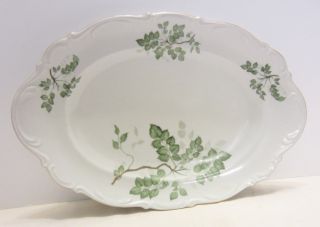 Vintage Mitterteich Bavaria Green Leaves Porcelain China 16 " Platter 089