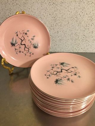 Dwarf Pine Dinnerware Pink Gray Black Plates Small Set 5 Taylor Smith Taylor