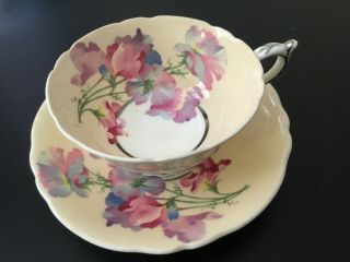 Paragon Wide Footed Cup Saucer Set Large Poppy Floral Center Off White Pink Silv