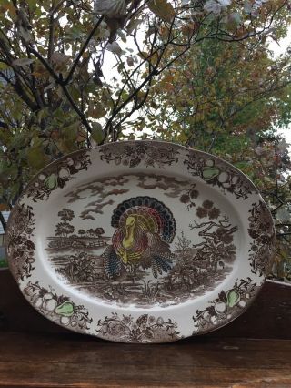 Vintage Thanksgiving Turkey Platter 18 " With Scalloped Edge,  Japan