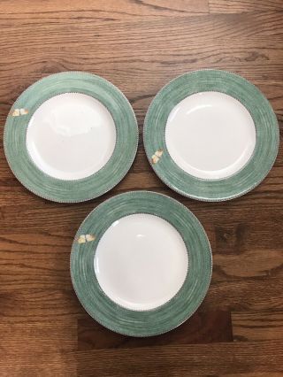 Wedgwood Sarah’s Garden Set Of 3 Green Dinner Plates