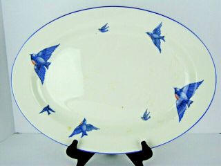 Knowles Taylor Bluebird Platter Porcelain Large Oval Serving Plate KT&K 17.  75 