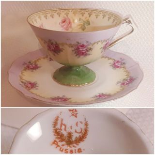 Rs Prussia Tea Cup And Saucer Set Pink Rose On Purple White & Green W/ Red Mark