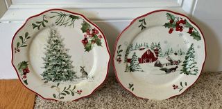 Better Homes & Gardens WINTER FOREST Salad Plates Barn,  Tree w/ Bunny,  Deer 5 pc 2