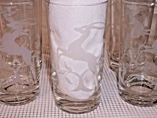 Vintage Deer Clear Glass Tumblers Drinking Glasses W/frosted Deer Gazelle (8)