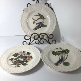 Set Of 3 Alfred Meakin Audubon Birds Of America Round Luncheon Plates Or Decor