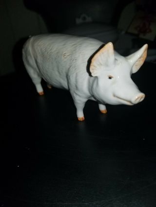 Vintage Ch Wall Ch Boy 53 Porcelain Pig Figurine Made In Beswick England
