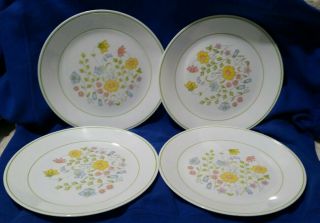 Set of 4 Corelle Spring Meadow 10 1/4 ” Dinner Plates Corning USA 2