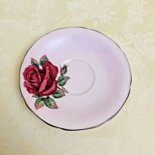 Paragon Big Cabbage Rose Pink Teacup And Saucer 3