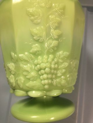 Westmoreland 5 3/8” Tall Glass Paneled Grape Jadeite Jadite Green Footed Vase