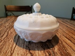 Vintage Westmoreland Milk Glass Paneled Grape Covered Candy Dish 6 1/2 "